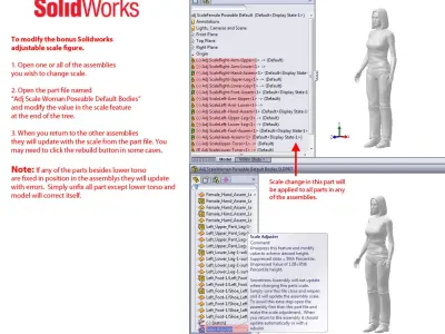Solidworks CAD Human Female Poseable 3D model