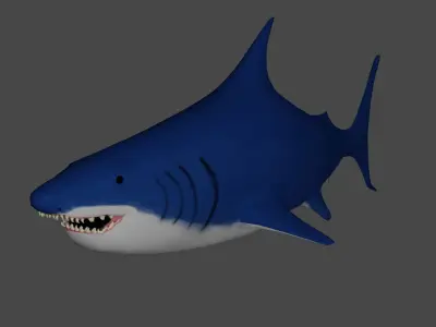 Shark 3D model 7