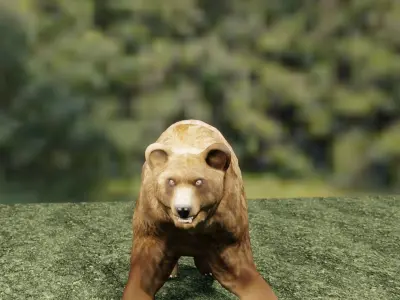 Bear animal 3D model