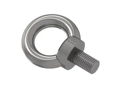 Ring Nuts DIN580 3D model