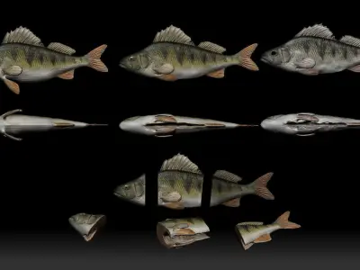 Slice and dried fish aset  Low-poly 3D model