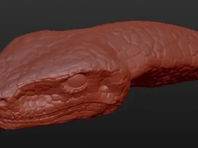Snake Head 3D model