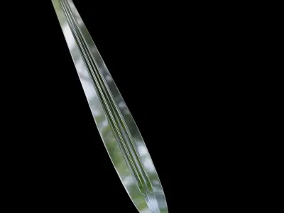 Sword from thewitcher game 3D model