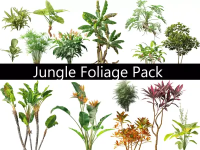 Jungle Foliage Pack 16 3D model