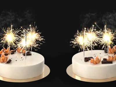 Celebration Mousse Cake with Sparklers and Physalis Decoration 3D model