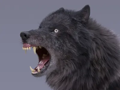Black Wolf Rigged 3D model