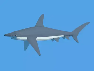 Low Poly Cartoon Hammerhead Shark Low-poly 3D model