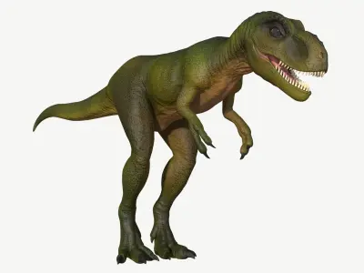 Young Tyrannosaurus Rex Low-poly 3D model