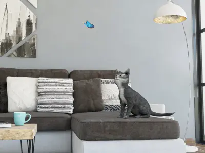 Cat pet 3D model