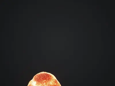 Animated Gasoline Explosion 2 3D model