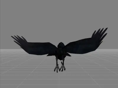 Crow v2 Low-poly 3D model