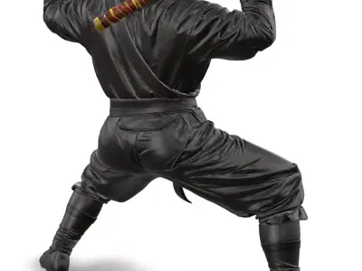Ninja 3D model purchase