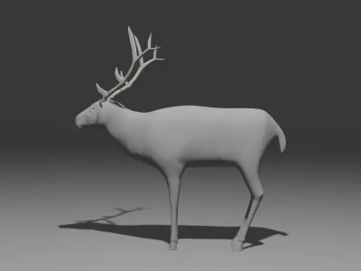 Elk  the big deer 3D model