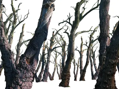 Old Forest 2 ULTRA HD 3D model