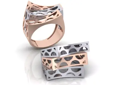 bypass gold ring 2 part 3D print model