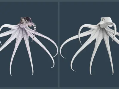 Animated Mimic Octopus Low-poly 3D model