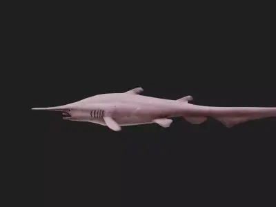 Goblinshark Low-poly 3D model