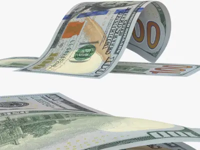 100 United States Multy Falling Notes 3D model