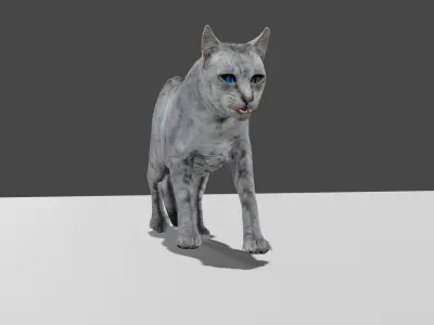 Heterochromia Cat Rigged Low-poly 3D model