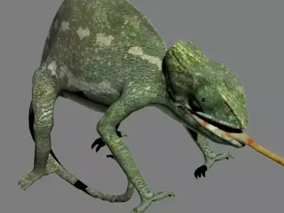 REPTILE lizard 3D model