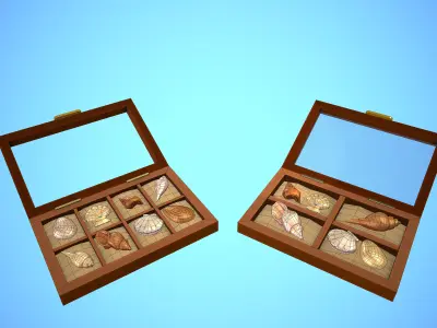 SHELL 01-06 BOX 01-02 PACK CARTOON STYLIZED Low-poly 3D model