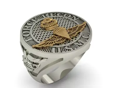 US MARINE CORPS FORCE RECON USMC RINGS 3D model