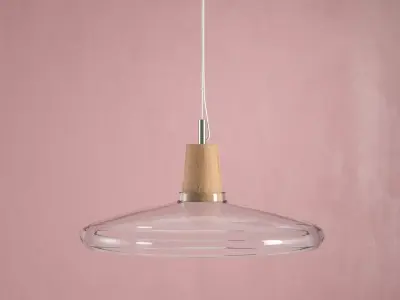 Industrial glass and wood pendant light 3D model