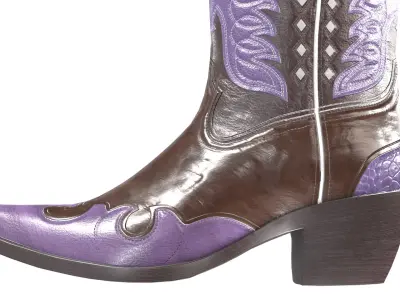 Eagle Star Cowboy Violet Boots 3D model