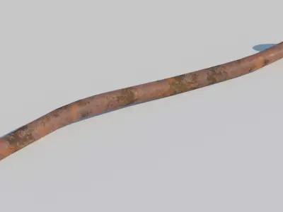 Rusty Nail 3D model