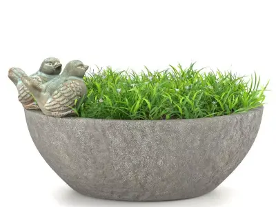 Outdoor plant C 01 3D model