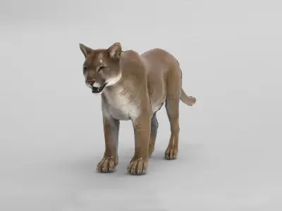 Cougar  - Rigged Low-poly 3D model