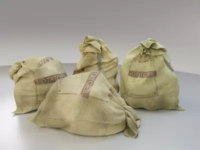 Potato Produce Sacks PBR Asset 3D model