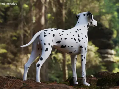Spotted Dalmatian Dog 3D model