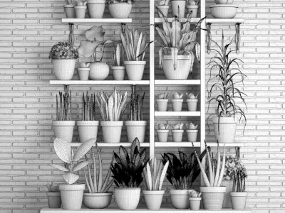 collection of plants in clay pots PART 2 3D model