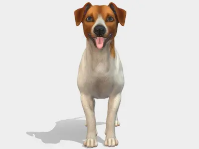 Dog - Jack Russell Terrier 3D model