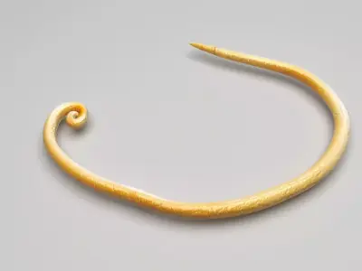 Whipworm 3D model
