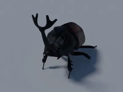 Rhinoceros Beetle Low-poly 3D model purchase