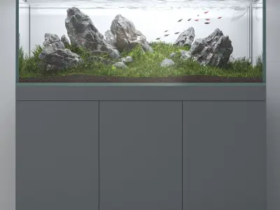 Aquascape aquarium Iwagumi 3D model