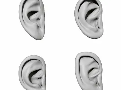 Ear Set 3D model