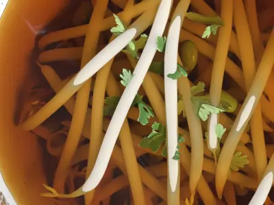 Broth with Mung Bean Sprouts 3D model