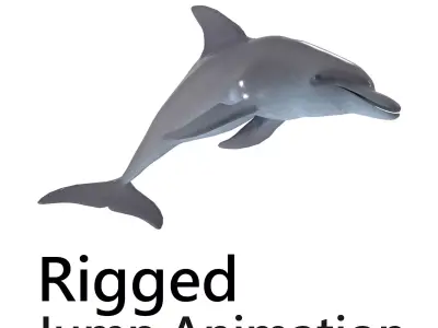Dolphin jump animation 3D model