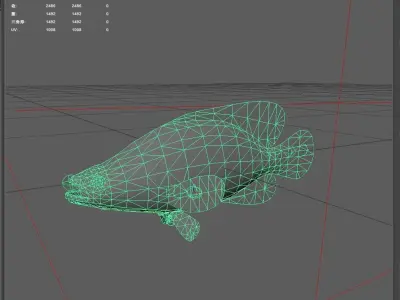 Grouper Low-poly 3D model 5