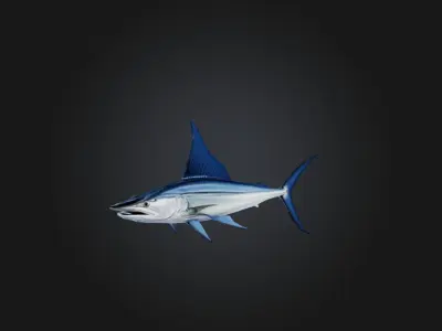 White marlin Low-poly 3D model