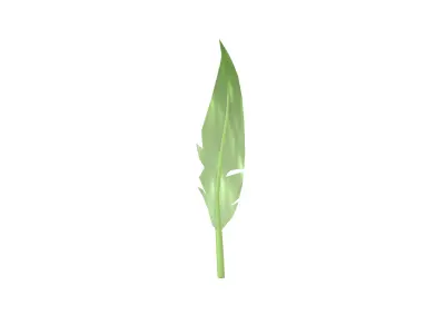 Feathers v1 004 Low-poly 3D model