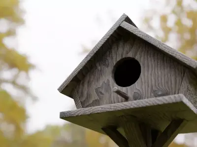 Bird Feeder Free low-poly 3D model