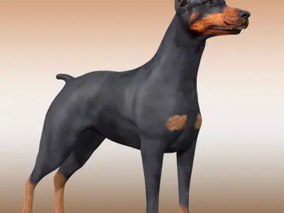  Doberman Dog Rig 3D model