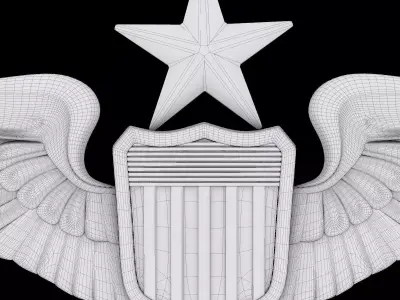 US Air Force Senior Pilot Wings Badge 3D print model