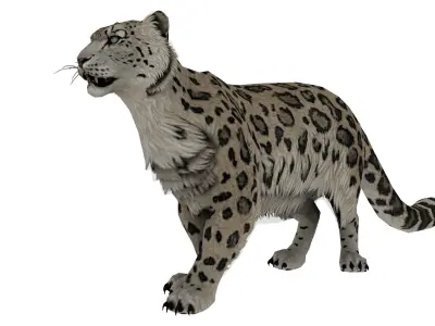 Realistic Leopard 3D Model  Game-Ready  Rigged  Low Poly Low-poly 3D model