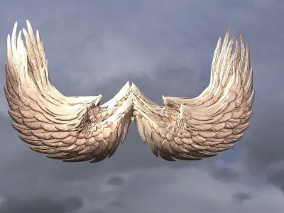 Elements Anatomy Sculpture 5 Collection  3D model