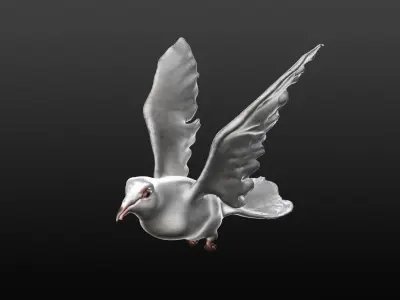 white dove 3D model purchase